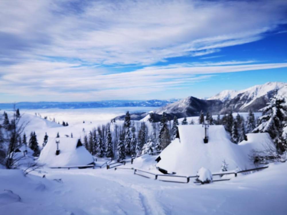Chalet Zlatica Velika Planina Stahovica Extérieur photo