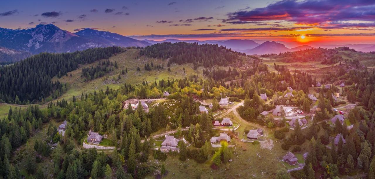Chalet Zlatica Velika Planina Stahovica Extérieur photo