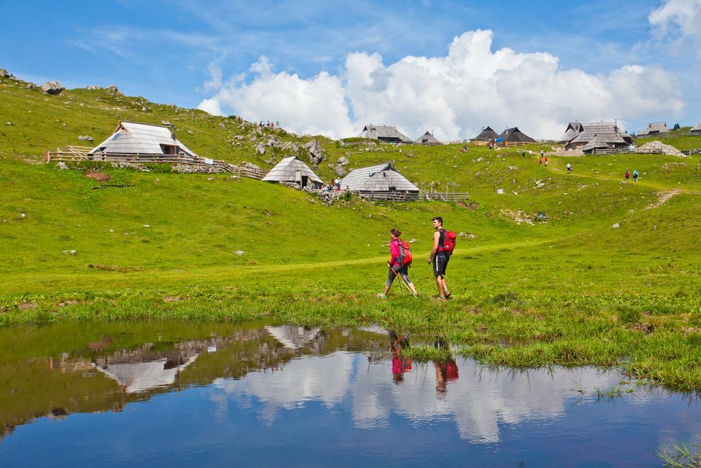 Chalet Zlatica Velika Planina Stahovica Extérieur photo