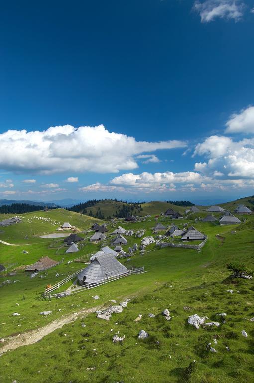 Chalet Zlatica Velika Planina Stahovica Extérieur photo