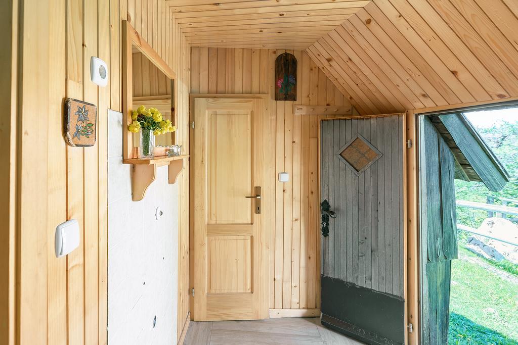 Chalet Zlatica Velika Planina Stahovica Extérieur photo