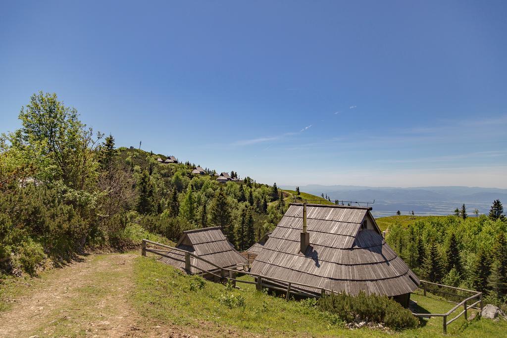 Chalet Zlatica Velika Planina Stahovica Extérieur photo